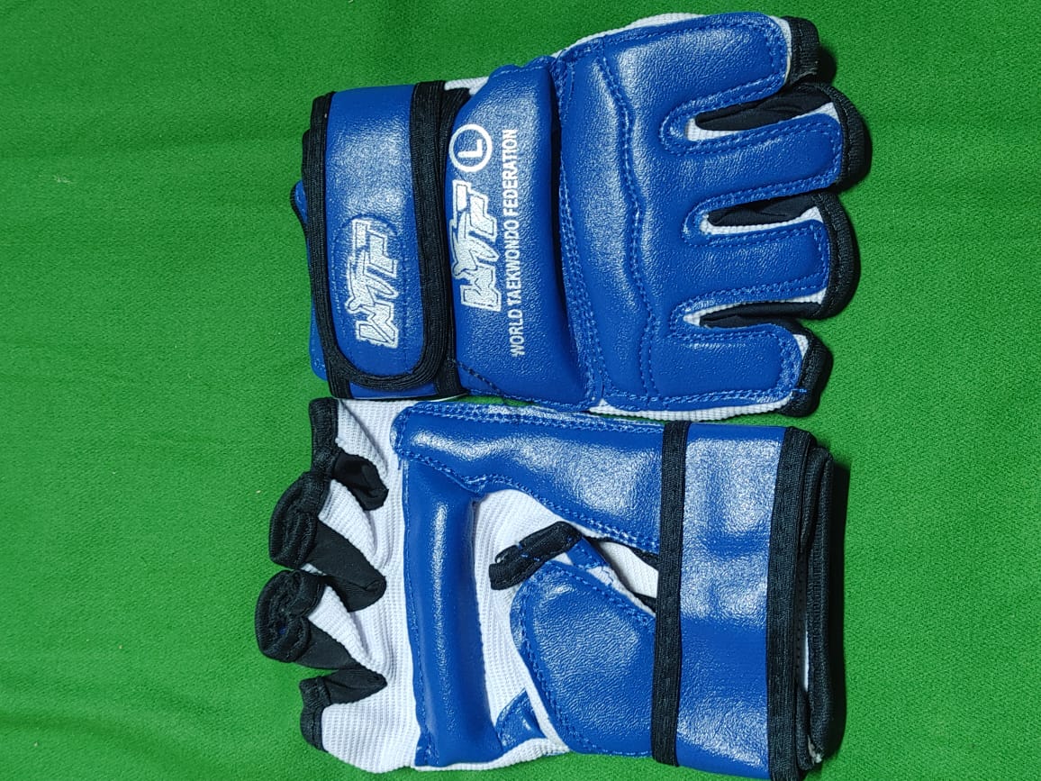 WTF ( WORLD TAEKWONDO FEDERATION ) GLOVES